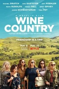 Download Wine Country (2019) Dual Audio {Hindi-English} 480p [400MB] | 720p [1GB] BluRay –