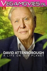 Download NetFlix David Attenborough: A Life on Our Planet (2020) English 480p [400MB] | 720p [800MB] –