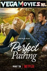 Download A Perfect Pairing (2022) Dual Audio {Hindi-English} 480p [400MB] | 720p [920MB] | 1080p [2GB] –