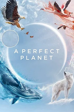 Download A perfect Planet (Season 1) Dual Audio [Hindi + English] Complete Web Series Esubs 720p [400MB] –