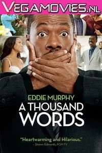 Download A Thousand Words (2012) Dual Audio {Hindi-English} 480p [300MB] | 720p [800MB] –