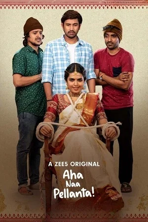 Download Aha Naa Pellanta (2022) Season 1 Complete Hindi WEB Series 480p | 720p HDRip –