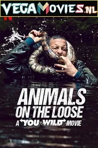 Download Animals on the Loose: A You vs. Wild Movie (2021) English 480p [520MB] | 720p [1.5GB] –