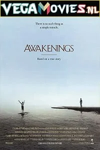 Download Awakenings (1990) Dual Audio {Hindi-English} 480p [500MB] | 720p [1.2GB] | 1080p [2.3GB] –