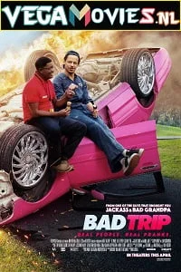 Download Bad Trip (2020) Dual Audio {Hindi-English} 480p [300MB] | 720p [650MB] | 1080p [1.3GB] –