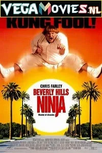 Download Beverly Hills Ninja (1997) Dual Audio {Hindi-English} 480p [300MB] | 720p [1GB] –