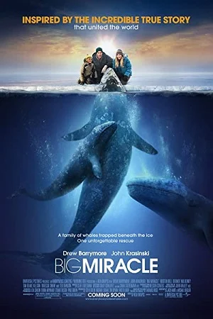 Download Big Miracle (2012) Dual Audio {Hindi-English} 480p [500MB] | 720p [1GB] | 1080p [2GB] –