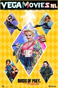 Download Birds of Prey (2020) Dual Audio {Hindi-English} 480p [350MB] | 720p [1.2GB] | 1080p [2.8GB] –