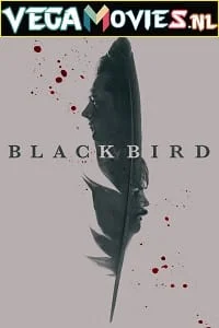 Download Black Bird (2022) Season 1 [S01E06 Added] [English With Hindi + English Subtitles] Appletv+ Original 720p HEVC [250MB] WEB-DL –