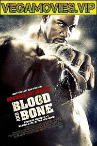 Download Blood and Bone (2009) Dual Audio {Hindi-English} 480p [300MB] | 720p [700MB] –