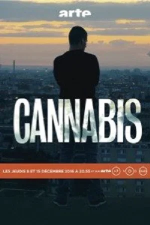 Download Cannabis (2016) Season 1 Hindi Complete MX Original WEB Series 480p | 720p HDRip –