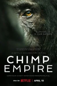 Download Chimp Empire (2023) Season 1 Complete Dual Audio {Hindi-English} Netflix Original WEB Series 720p | 1080p WEB-DL –