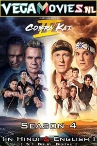 Download Cobra Kai – Netflix Original (2021) Season 4 Dual Audio {Hindi-English} 480p [150MB] | 720p [300MB] WEB-DL –