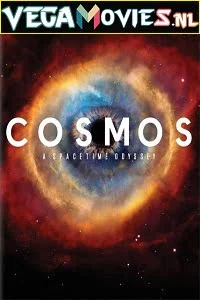 Download Cosmos: A Spacetime Odyssey (2014) Season 1 Hindi Complete WEB Series 480p [160MB] | 720p [450MB] –