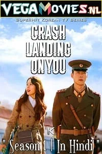 Download Crash Landing on You (2019) Season 1 Hindi Dubbed Complete Netflix Original WEB Series 480p | 720p WEB-DL –