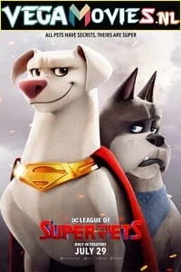 Download DC League of Super Pets (2022) WEB-DL {English With Subtitles} 480p [350MB] | 720p [1.4GB] | 1080p [2.1GB] –