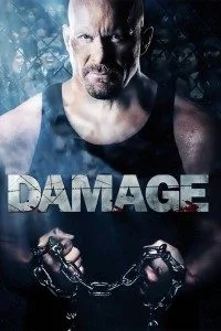 Download Damage (2009) Dual Audio Full Movie {Hindi-English} 480p [400MB] | 720p [1GB] –