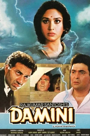 Download Damini (1993) Hindi Full Movie HDRip 480p [400MB] | 720p [1.3GB] | 1080p [4GB] –