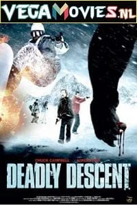 Download Deadly Descent (2013) Dual Audio {Hindi-English} 480p [300MB] | 720p [1GB] –