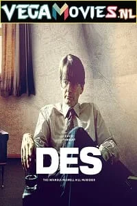 Download Des (2020) Season 1 Dual Audio {Hindi-English} 480p | 720p HDRip –