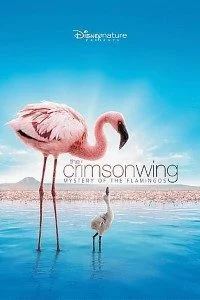 Download The Crimson Wing (2008) Dual Audio {Hindi-English} 480p [300MB] | 720p [800MB] –