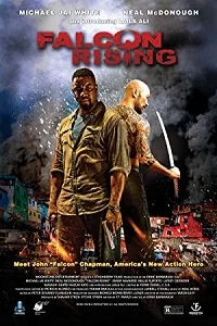 Download Falcon Rising (2014) Dual Audio Hindi 480p [300MB] || 720p [800MB] –