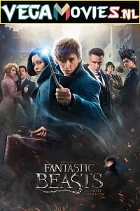 Download Fantastic Beasts and Where to Find Them (2016) Dual Audio {Hindi-English} 480p [450MB] | 720p [1GB] | 1080p [3GB] | 2160p [5GB] –