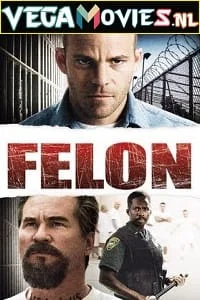 Download Felon (2008) Dual Audio [Hindi + English] WeB-DL 480p [450MB] | 720p [1GB] | 1080p [2GB] –