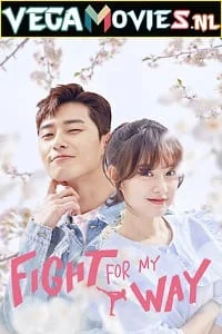 Download Fight For My Way (Season 1) Dual Audio {Hindi + Korean} Complete WEB Series 480p [180MB] | 720p [400MB] WEB-DL –