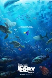 Download Finding Dory (2016) Dual Audio {Hindi-English} 480p [300MB] | 720p [950MB] –