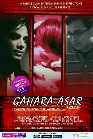 Download Gahara Asar Dil Tak (2021) Hindi Full Movie 480p [300MB] | 720p [800MB] –