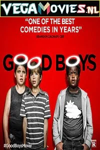 Download Good Boys (2019) Dual Audio {Hindi-English} 480p [300MB] | 720p [650MB] | 1080p [1.3GB] –