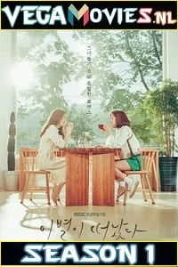 Download Goodbye to Goodbye Season 1 Hindi Dubbed Complete Korean Drama Series 480p | 720p WEB-DL –