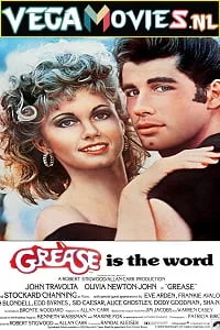 Download Grease (1978) Dual Audio [Hindi-English] 480p [500MB] | 720p [900MB] | 1080p [1.7GB] –