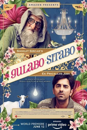 Download Gulabo Sitabo (2020) AMZN WEBRip Hindi Full Movie 480p [400MB] | 720p [1GB] | 1080p [3.6GB] –