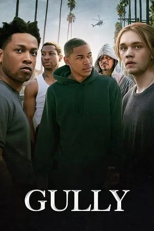 Download Gully (2019) Dual Audio [Hindi + English] WeB-DL 480p [300MB] | 720p [900MB] | 1080p [1.7GB] –