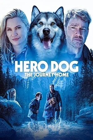 Download Against The Wild III: The Journey Home / Hero Dog: The Journey Home (2021) WEB-DL Dual Audio {Hindi-English} 480p [550MB] | 720p [1.2GB] | 1080p [2.5GB] –