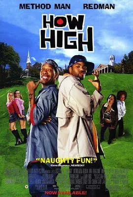 Download How High (2001) Dual Audio {Hindi-English} 480p [330MB] | 720p [950MB] | 1080p [2.8GB] –