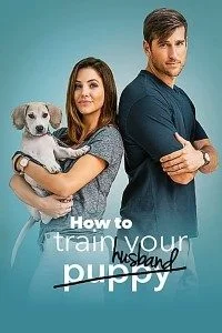 Download How to Train Your Husband (2018) Dual Audio {Hindi-English} 480p [300MB] | 720p [1GB] BluRay –