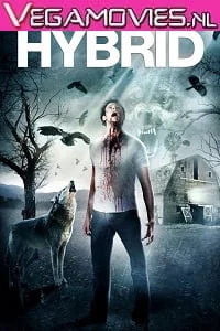 Download Hybrid (2015) Dual Audio {Hindi-English} 480p [300MB] | 720p [830MB] –