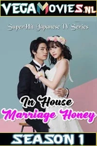 Download In House Marriage Honey (2020) Season 1 Complete All Episodes in Hindi [ORG] 480p [500MB] | 720p [1GB] WEB-DL –