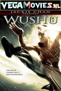 Download Jackie Chan Presents: Wushu (2008) Dual Audio {Hindi-English} 480p [300MB] | 720p [900MB] | 1080p [2GB] –