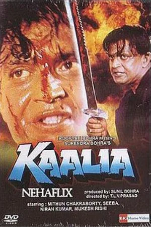 Download Kaalia (1997) Hindi Full Movie WEB-DL 480p [400MB] | 720p [1.3GB] | 1080p [3.6GB] –