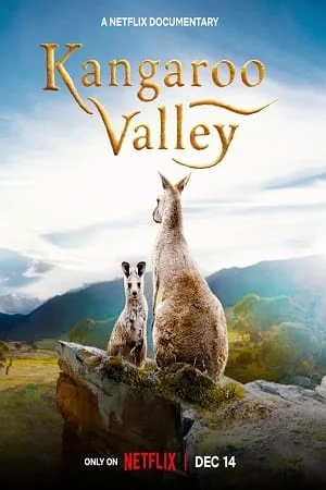 Download Kangaroo Valley (2022) Dual Audio {Hindi-English} 480p [250MB] | 720p [700MB] | 1080p [1.6GB] –