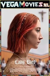 Download Lady Bird (2017) Dual Audio {Hindi-DD5.1-English} 480p [200MB] | 720p [800MB] | 1080p [1.6GB] –