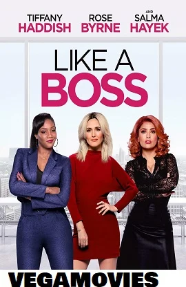 Download Like a Boss (2020) Dual Audio Hindi BluRay 480p [320MB] | 720p [750MB] | 1080p [2.6GB] –