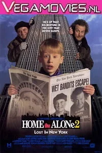 Download Home Alone 2 (1992) Dual Audio {Hindi-English} 480p [400MB] | 720p [1GB] –