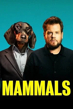 Download Mammals (2022) Season 1 Dual Audio {Hindi-English} Amazon Prime 480p | 720p WEB-DL –