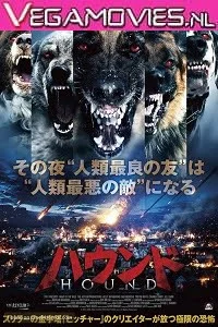 Download Night of the Wild (2015) Dual Audio {Hindi-English} 480p [300MB] | 720p [800MB] –