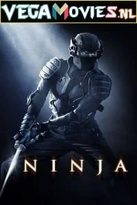 Download Ninja (2009) Dual Audio {Hindi-English} 480p [300MB] | 720p [700MB] | 1080p [1.5GB] –